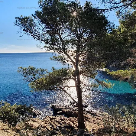 Grand Mezzanine Avec Vue Mer, Parking Et Climatisation A Deux Pas De La Calanque De La Cron - Fr-1-100-319 شقة *